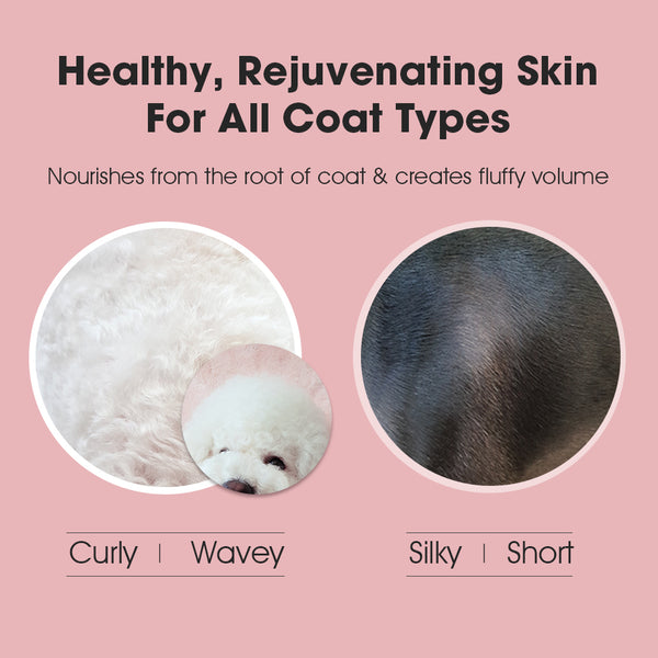 Blooming Dog Leavein Conditioner Breezytail