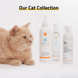 PetO’Cera Cat Shampoo | Body Wash for Cat Bath