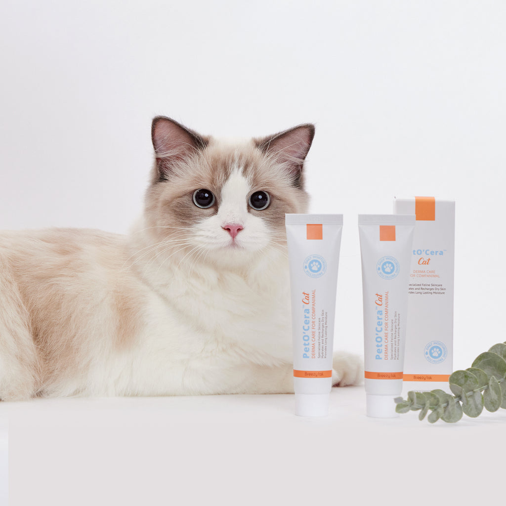 [Breezytail] No More Worries for Your Cat's Dry and Cracked Paws : Tips for Cat Paw Moisturizing