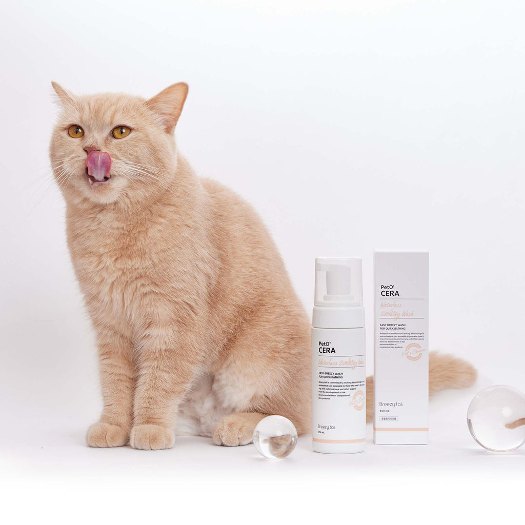 [Breezytail] Say Goodbye to Water Worries: The Ultimate Guide to Washing Your Cat with Dry Shampoo