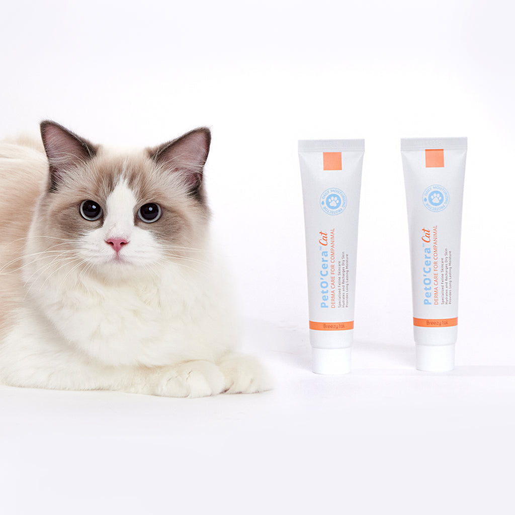 PetO’Cera Cats – Breezytail