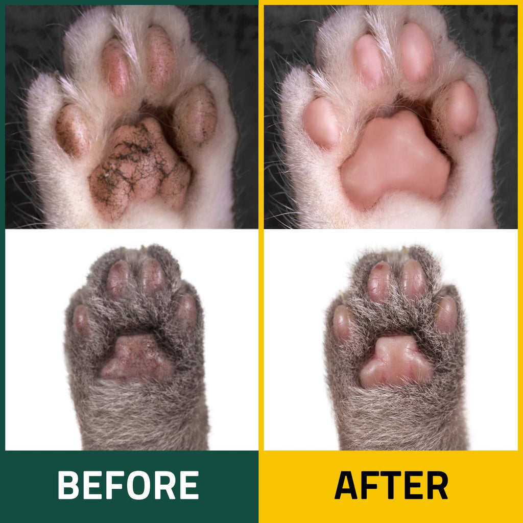 PetO'Cera Waterless Cat Shampoo Breezytail